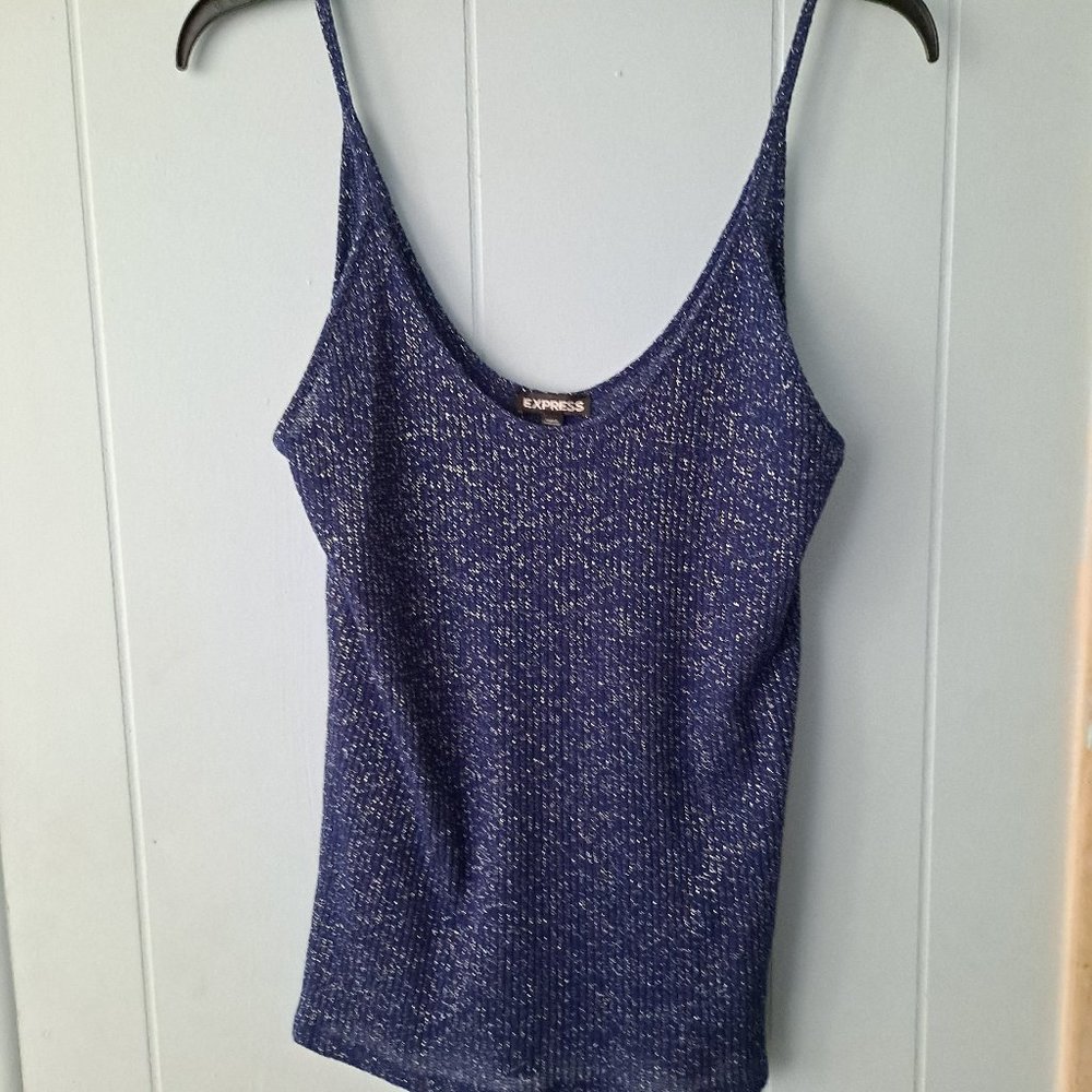 Two (2) Express Glitter Camis 2 Colors
